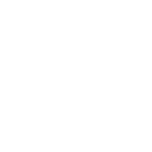 Vison Accessories